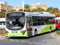 Autobus bianco e verde di Malta Public Transport, ideale per scoprire come spostarsi a Malta. Percorre una strada con palme e edifici storici.