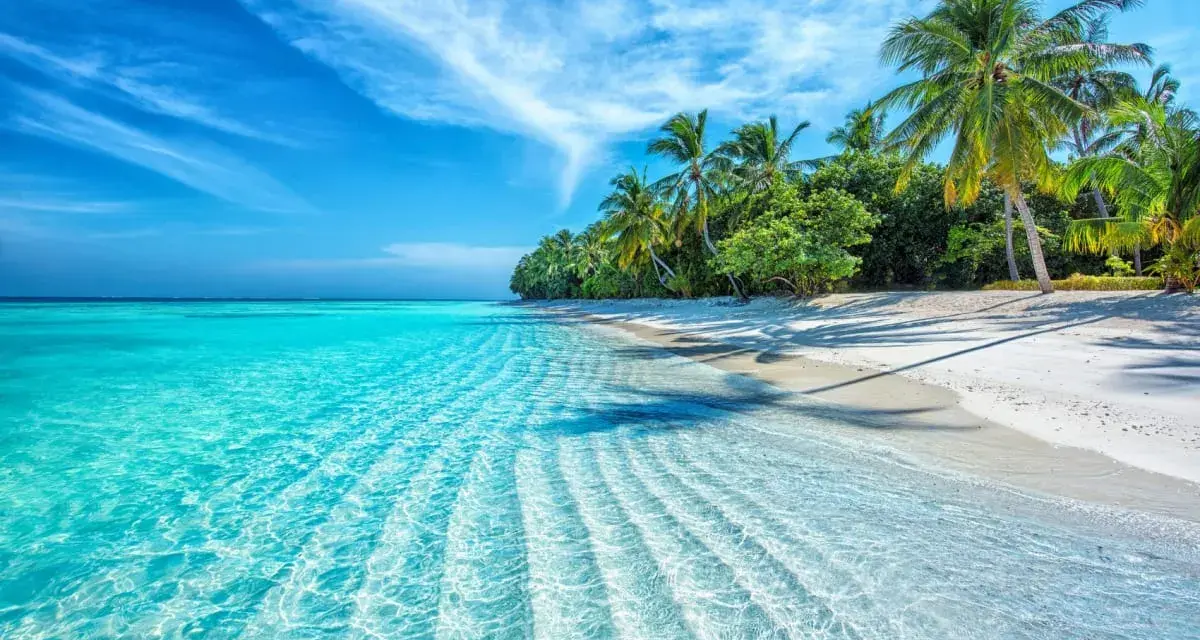 Spiaggia bianca con palme e mare cristallino. Nonostante il **maldive periodo peggiore**, l'acqua è invitante e il cielo azzurro.