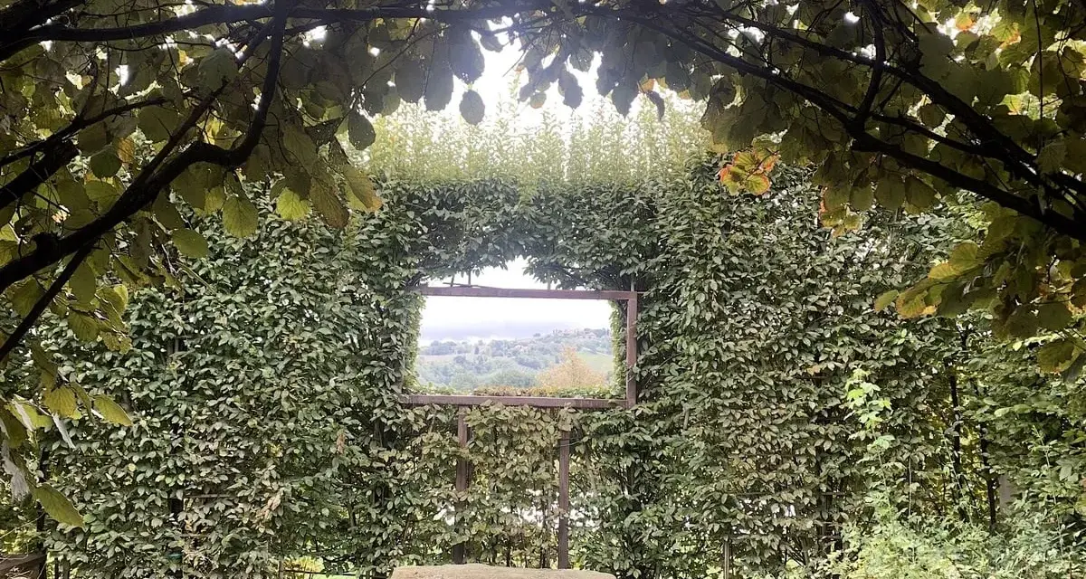 Un angolo verde incantevole, con un sedile in pietra che invita alla contemplazione del paesaggio visibile attraverso un'apertura nella siepe, come una finestra sul **palazzo di Cuzzano**.