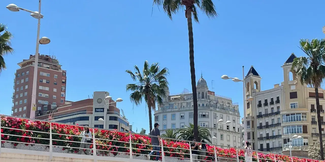 Ponte fiorito a Valencia, ideale per scoprire come muoversi a piedi godendosi il panorama urbano e le palme.