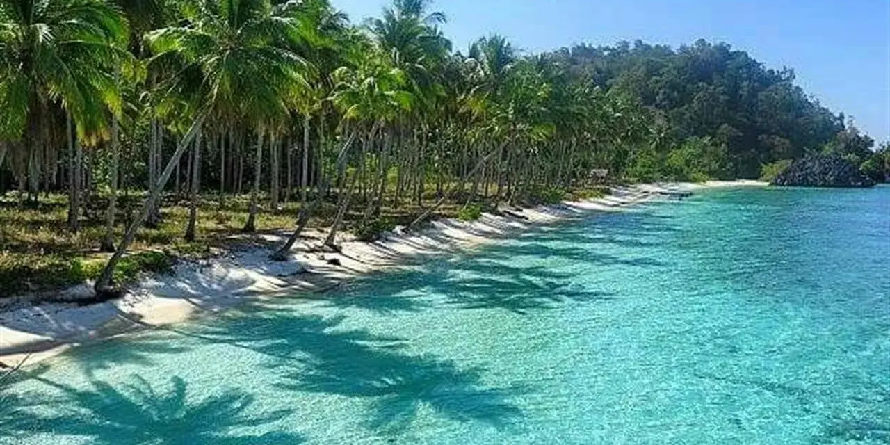 Spiaggia tropicale con palme e acque cristalline. Il momento ideale per visitare Sulawesi quando andare è durante la stagione secca, da aprile a ottobre.