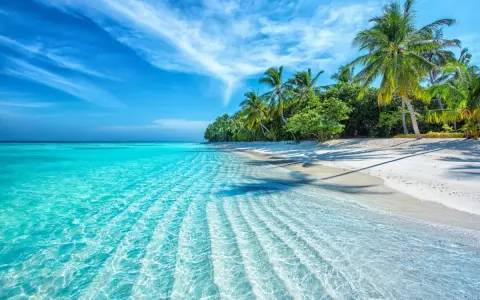 Spiaggia bianca con palme e mare cristallino. Nonostante il **maldive periodo peggiore**, l'acqua è invitante e il cielo azzurro.