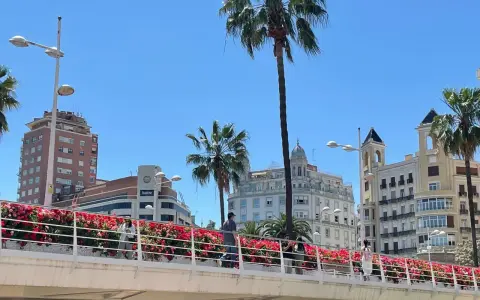 Ponte fiorito a Valencia, ideale per scoprire come muoversi a piedi godendosi il panorama urbano e le palme.