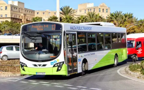 Autobus bianco e verde di Malta Public Transport, ideale per scoprire come spostarsi a Malta. Percorre una strada con palme e edifici storici.