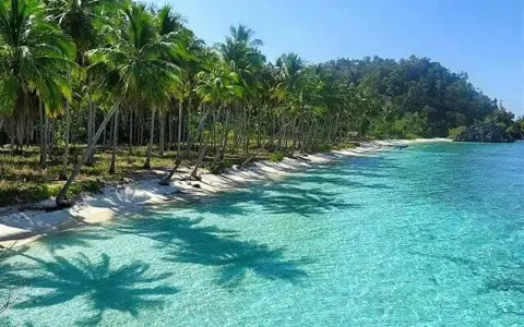 Spiaggia tropicale con palme e acque cristalline. Il momento ideale per visitare Sulawesi quando andare è durante la stagione secca, da aprile a ottobre.