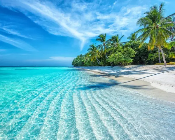 Spiaggia bianca con palme e mare cristallino. Nonostante il **maldive periodo peggiore**, l'acqua è invitante e il cielo azzurro.