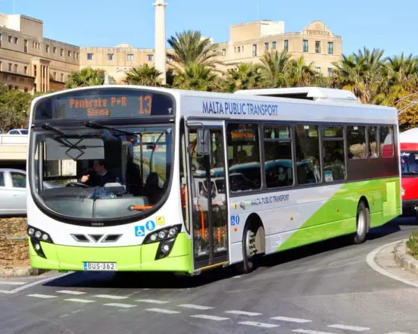 Autobus bianco e verde di Malta Public Transport, ideale per scoprire come spostarsi a Malta. Percorre una strada con palme e edifici storici.