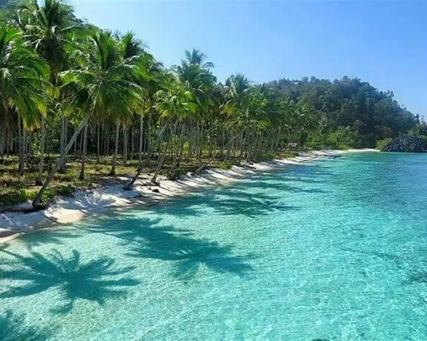 Spiaggia tropicale con palme e acque cristalline. Il momento ideale per visitare Sulawesi quando andare è durante la stagione secca, da aprile a ottobre.