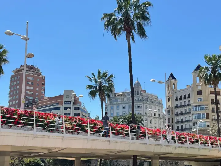 Ponte fiorito a Valencia, ideale per scoprire come muoversi a piedi godendosi il panorama urbano e le palme.