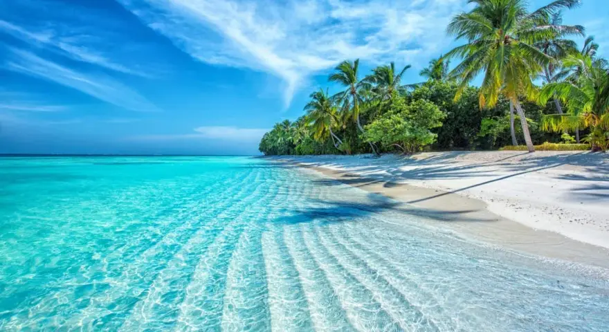 Spiaggia bianca con palme e mare cristallino. Nonostante il **maldive periodo peggiore**, l'acqua è invitante e il cielo azzurro.