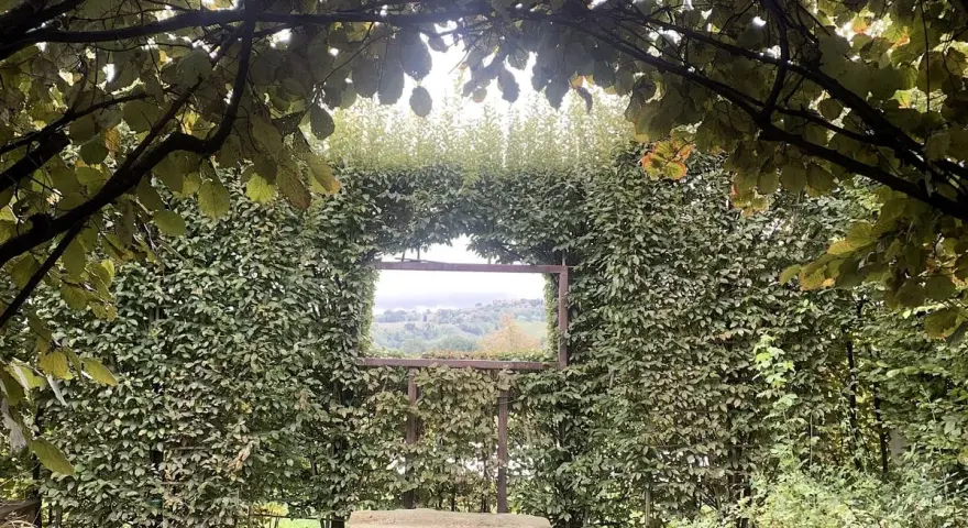 Un angolo verde incantevole, con un sedile in pietra che invita alla contemplazione del paesaggio visibile attraverso un'apertura nella siepe, come una finestra sul **palazzo di Cuzzano**.
