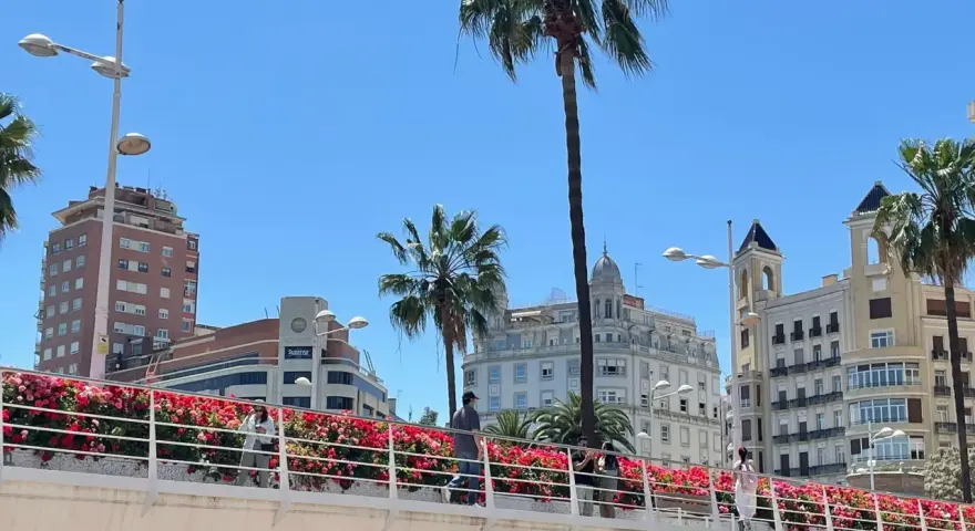 Ponte fiorito a Valencia, ideale per scoprire come muoversi a piedi godendosi il panorama urbano e le palme.