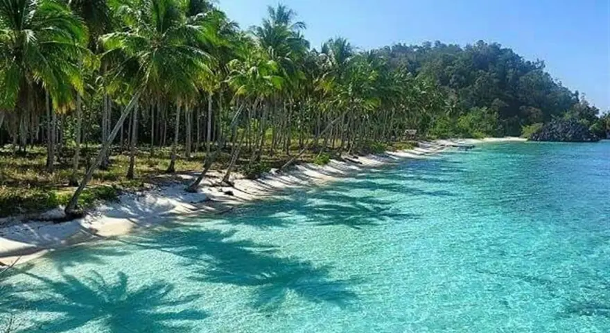 Spiaggia tropicale con palme e acque cristalline. Il momento ideale per visitare Sulawesi quando andare è durante la stagione secca, da aprile a ottobre.