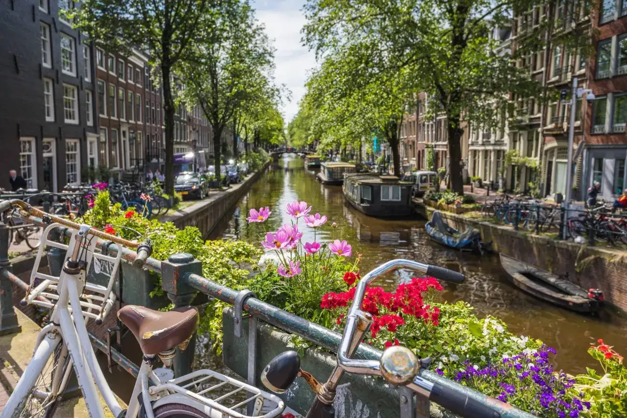 Biciclette e fiori colorati lungo un canale di Amsterdam, il modo migliore per scoprire come muoversi ad Amsterdam.