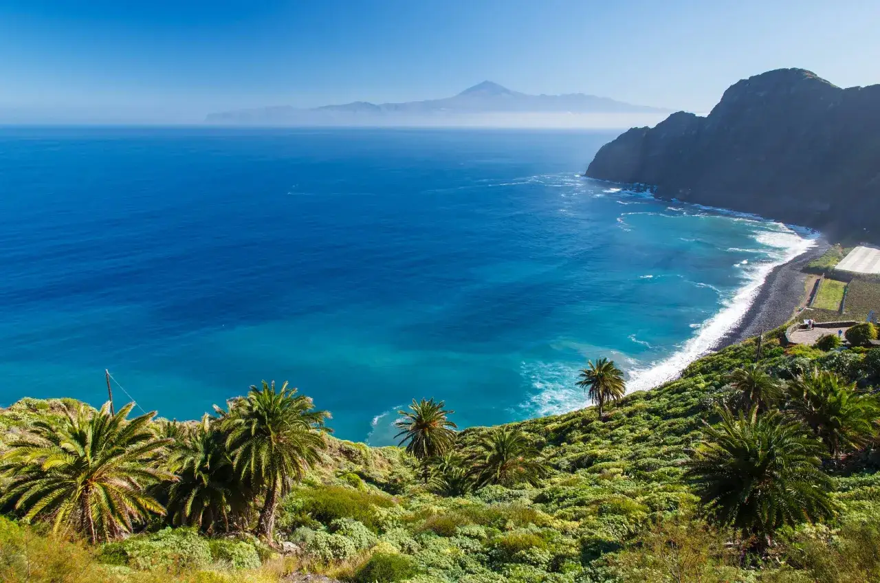 Costa verde con palme e mare blu intenso. Ideale per le Canarie quando andare per godersi questo panorama.