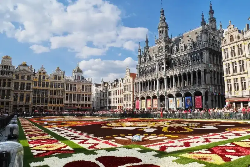 Tappeto di fiori a Bruxelles, un'idea per cosa vedere a Bruxelles in 3 giorni. Grand Place con architetture storiche e folla.